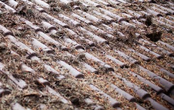 Chattisham roof cleaning companies